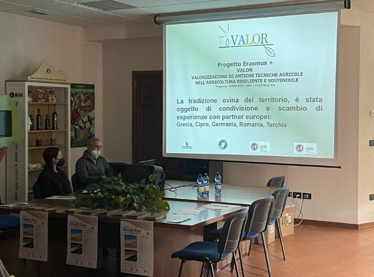 Photo from the presentation at "Wool Fare"