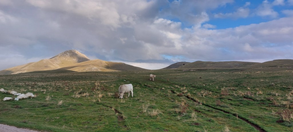 This image has an empty alt attribute; its file name is valor-campo-imperatore.jpg